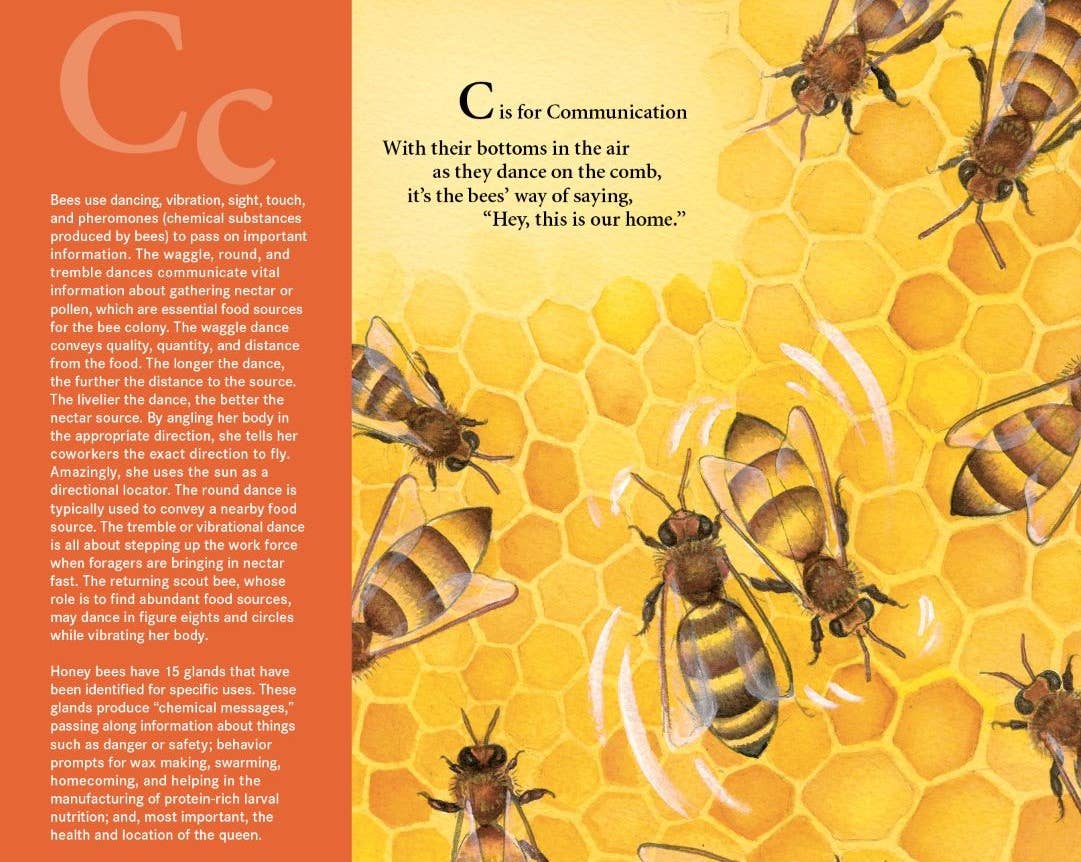 H is for Honey Bee picture book: A Beekeeping Alphabet
