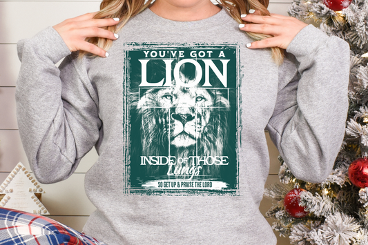 You've Got A Lion