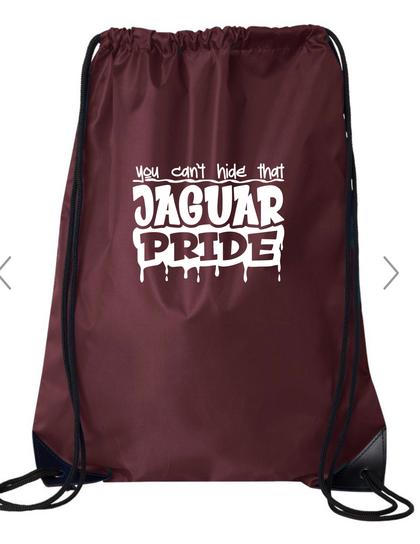 Jaguars 120