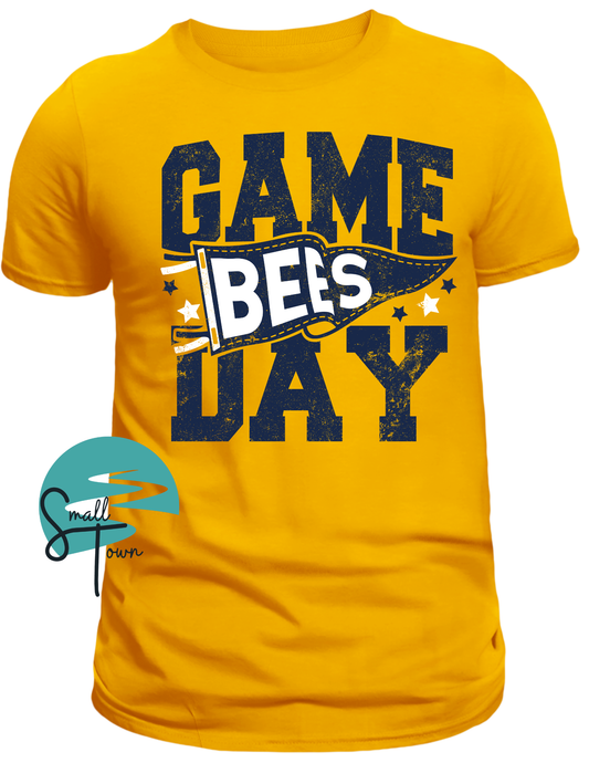 Game Day- Bees 2