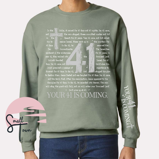Project 41 v.1